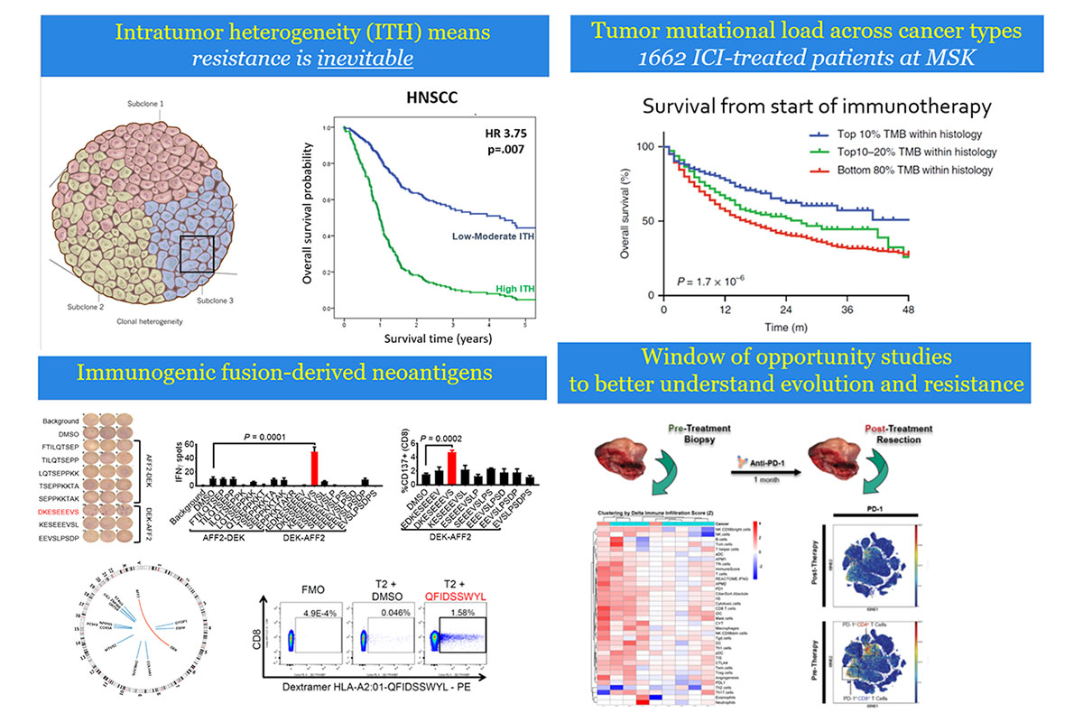 research information