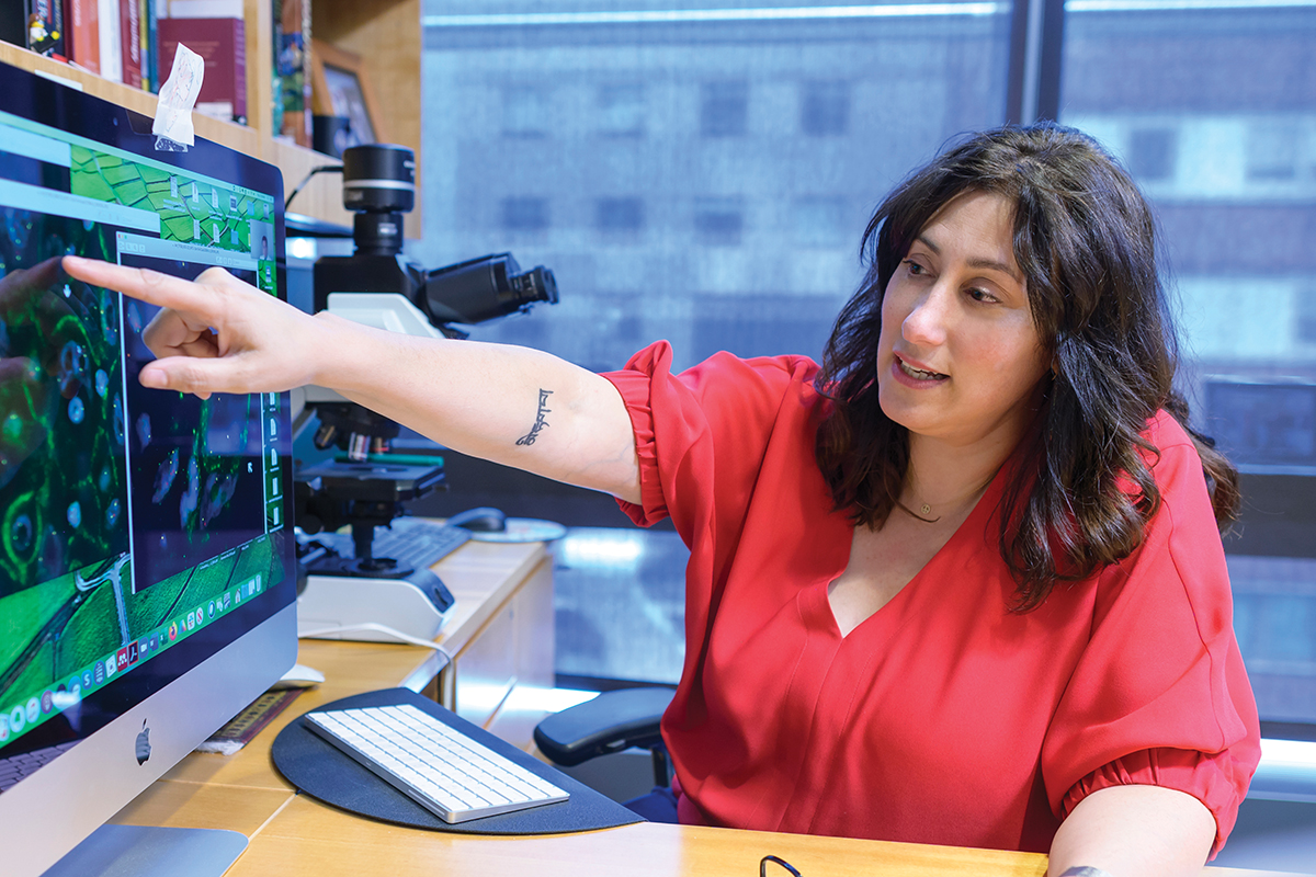 Memorial Sloan Kettering physician-scientist Christine Iacobuzio-Donahue