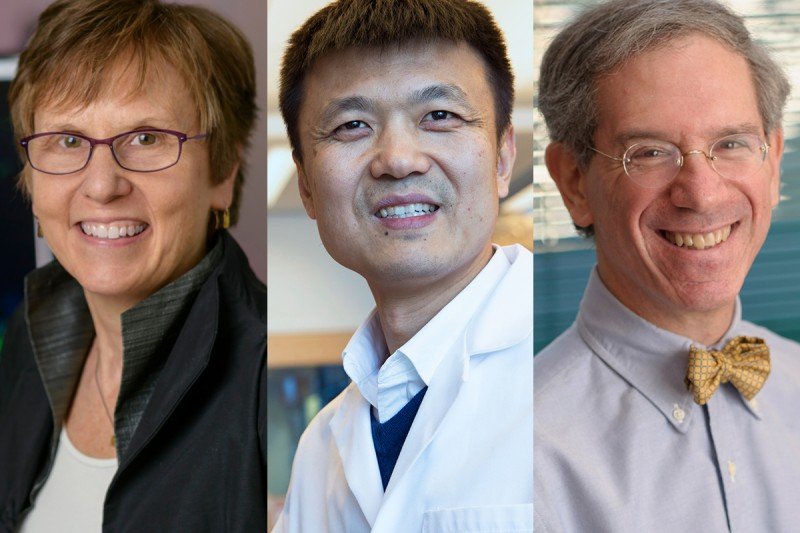 Three MSK Faculty Members Elected as 2021 American Association for the Advancement of Science Fellows