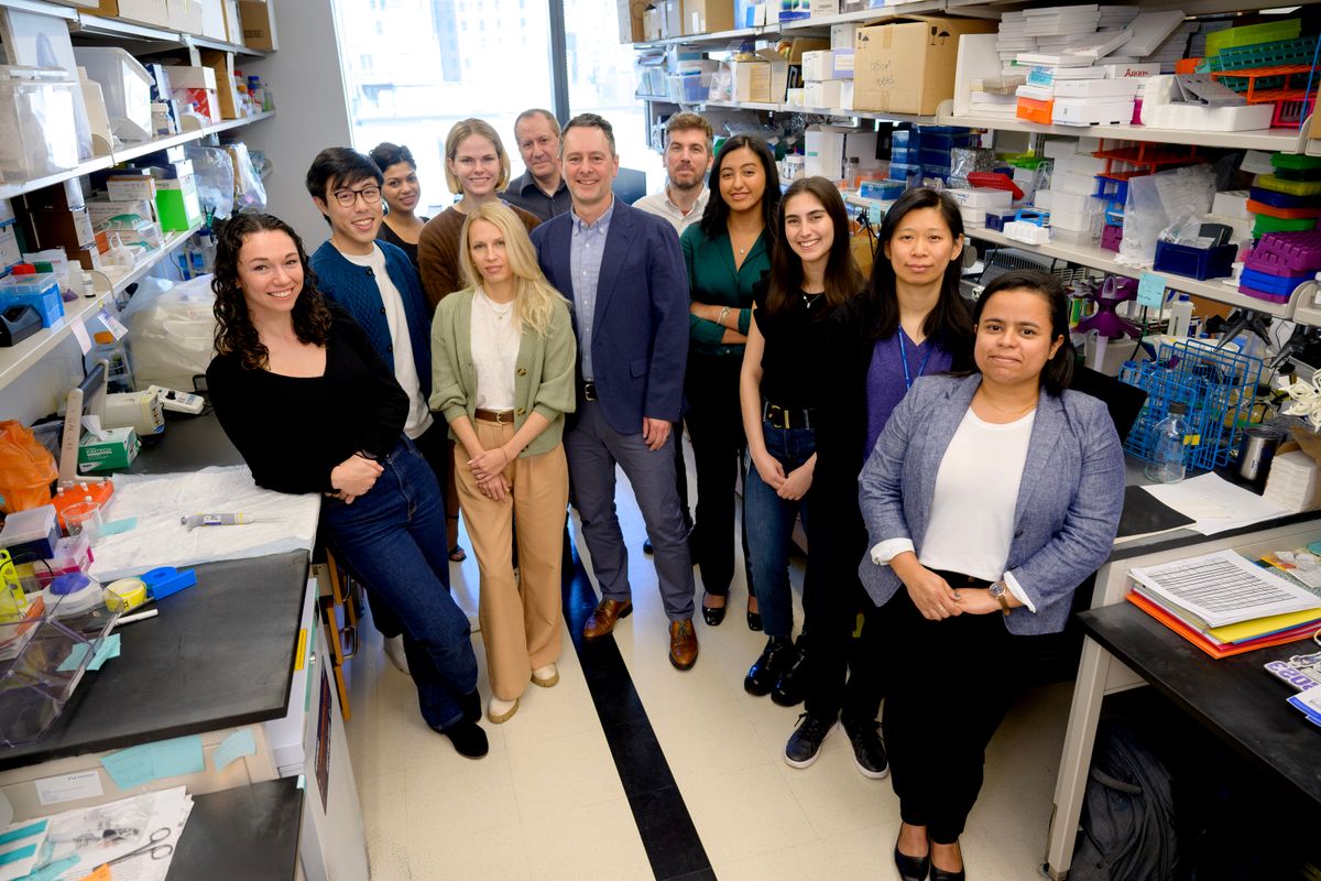 The Alan Hanash Lab