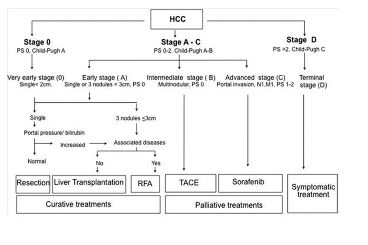 Using Imaging To Improve The Outcomes Of Locoregional Hepatic Intervention Memorial Sloan 4255