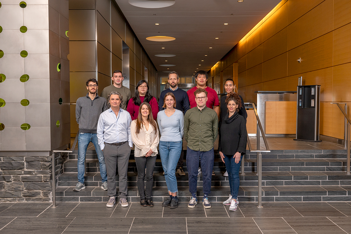 The Andrea Ventura Lab