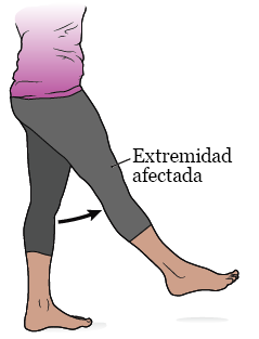 Figura 2. Flexión de cadera