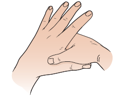 what is the muscle between your thumb and pointer finger