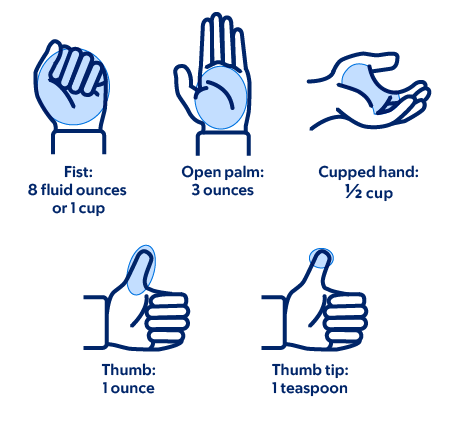 Figure 4. How to measure portion size with your hand