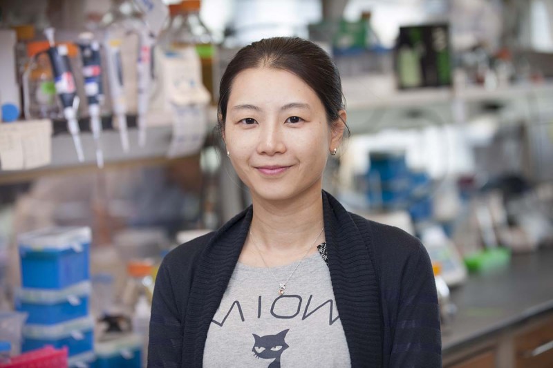 Kim Huensuk, Research Fellow