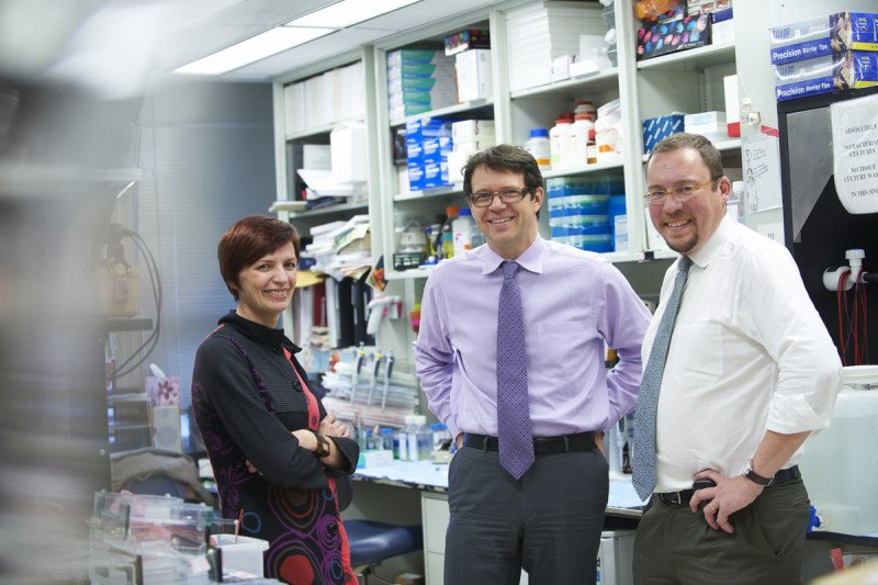 Cell Based Immune Therapy Shows Promise In Leukemia Patients Memorial Sloan Kettering Cancer