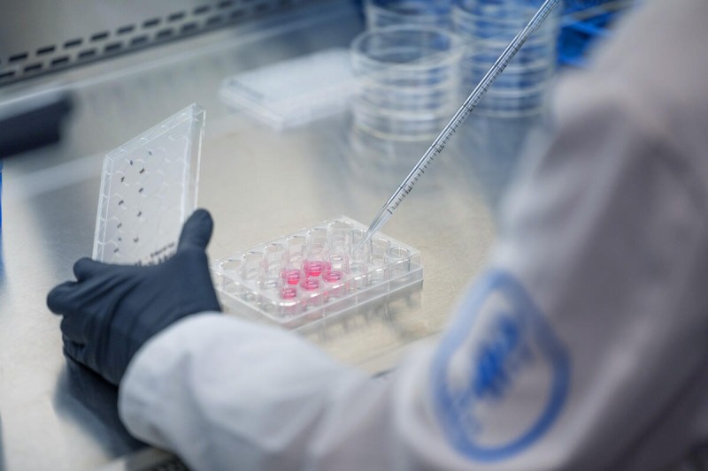 A researcher pipettes in the lab