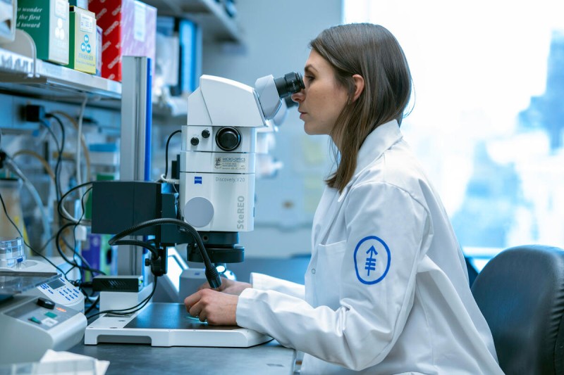 Physician working in laboratory