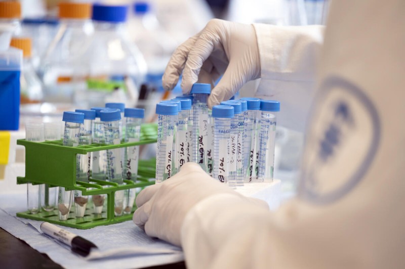 Close up of an MSK researcher's hands and arms handling test tubes in the lab. 