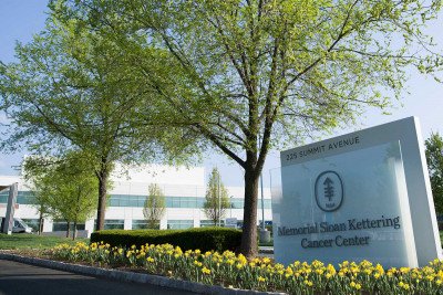 Artemisia annua  Memorial Sloan Kettering Cancer Center