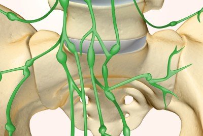 Memorial Sloan Kettering Advances Method To Reduce Removal Of Lymph 