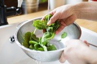 Man’s hands washing salad greens in a sink