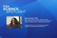 Science Spotlight lecture: Dana Pe'er, PhD