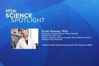 Science Spotlight lecture: Scott Keeney, PhD