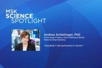 Science Spotlight lecture: Andrea Schietinger, PhD