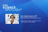 Science Spotlight lecture: Kat Hadjantonakis, PhD