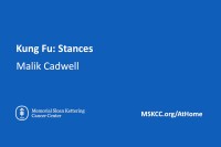 Kung Fu: Stances