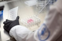 A researcher working in an MSK lab