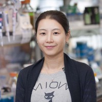 Kim Huensuk, Research Fellow