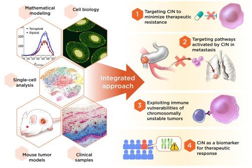 The Samuel Bakhoum Lab: Projects | Memorial Sloan Kettering Cancer Center