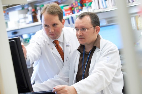 New Web Tool Helps Researchers Explore How the Genome Changes in Cancer ...