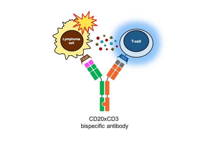 MSK ASH 2023 Insights: Promising Results For Bispecific Antibodies As ...