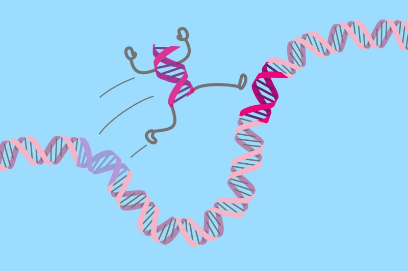 Jumping Genes and the Dark Genome: MSK Researchers Gain New Insight
